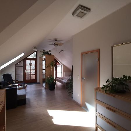 Studio Und Apartment Auf Dem Pferdehof Burgpreppach 외부 사진