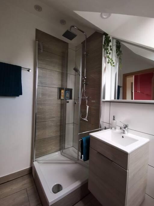 Studio Und Apartment Auf Dem Pferdehof Burgpreppach 외부 사진