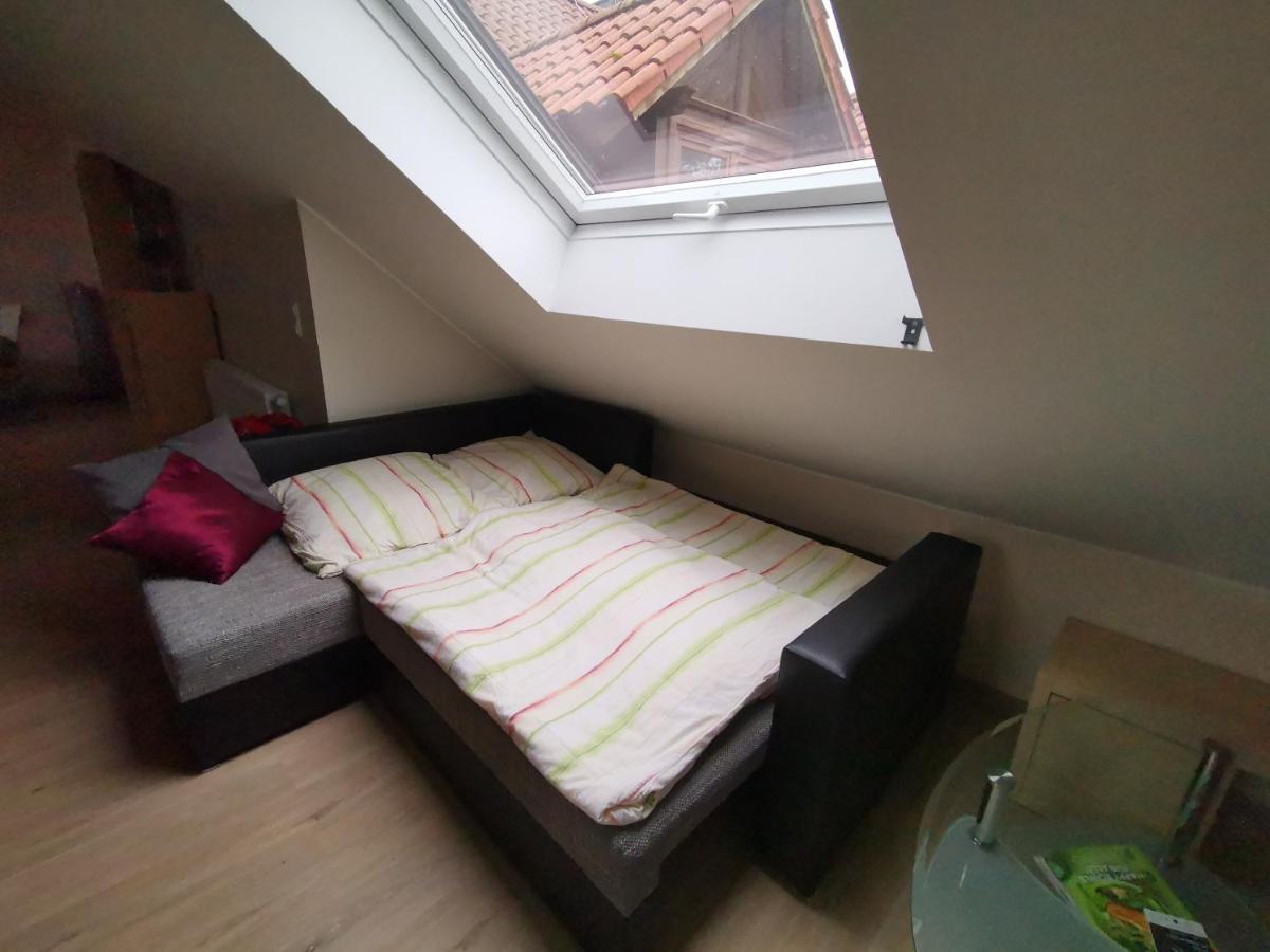 Studio Und Apartment Auf Dem Pferdehof Burgpreppach 외부 사진