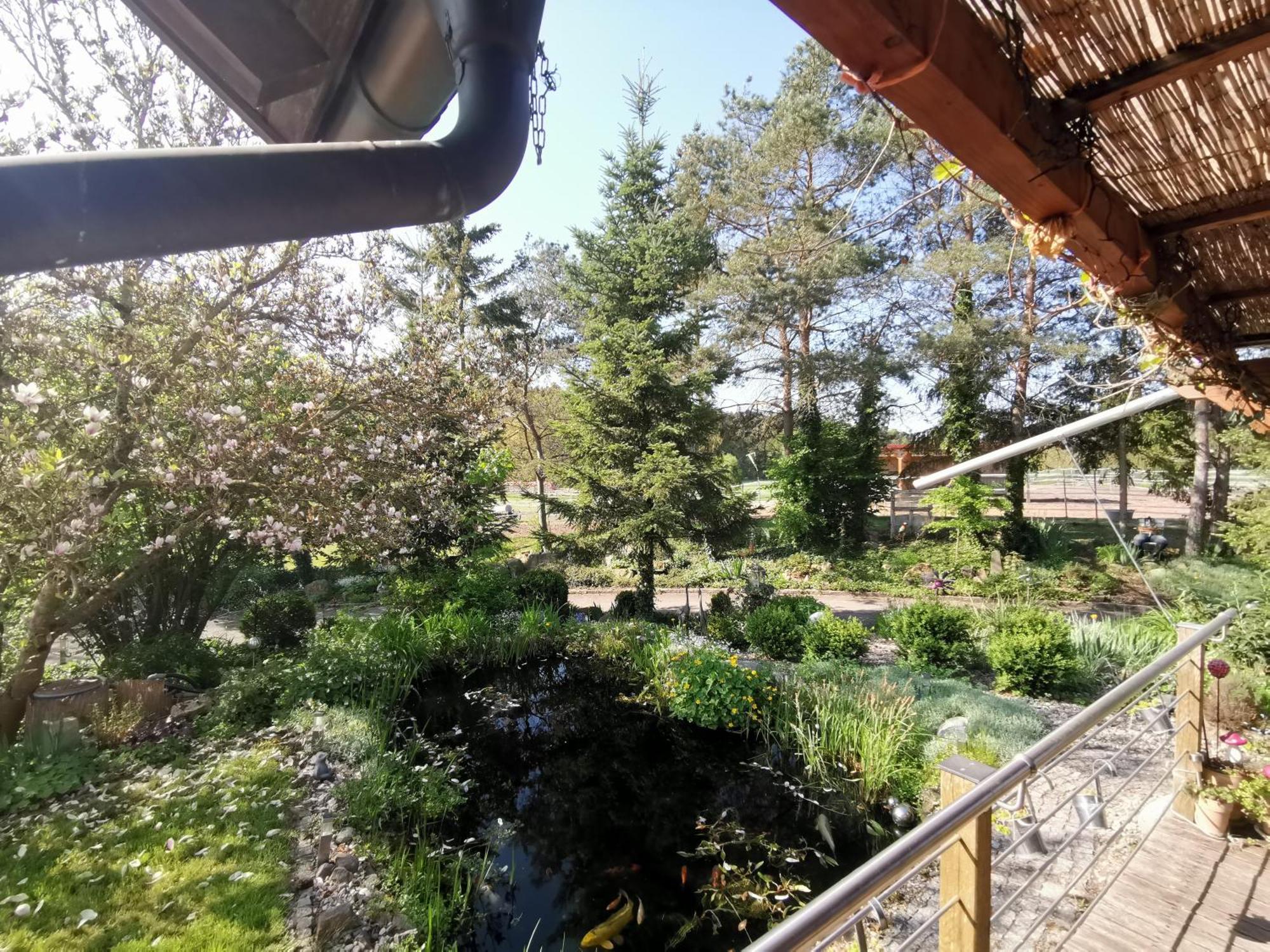Studio Und Apartment Auf Dem Pferdehof Burgpreppach 외부 사진